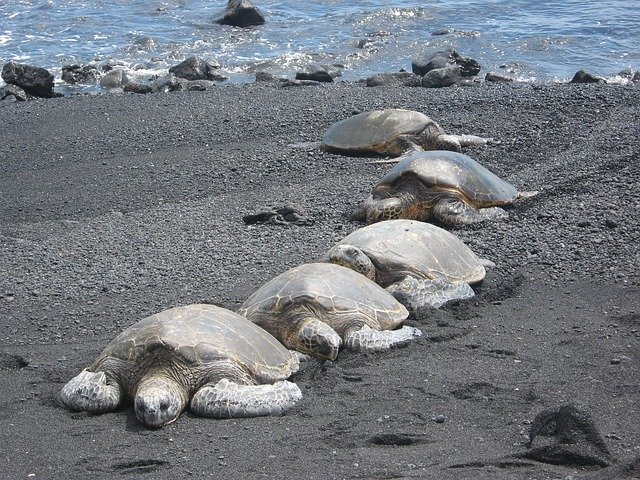 Big Island, Hawaii